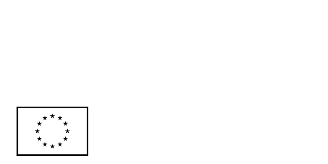 Logo Bianco PON